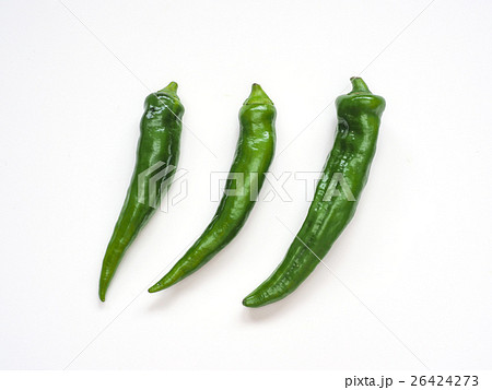 万願寺とうがらし 26424273