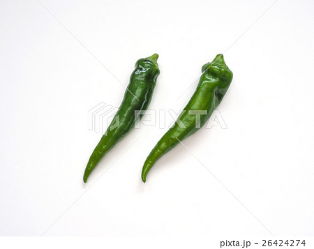 万願寺とうがらし 26424274