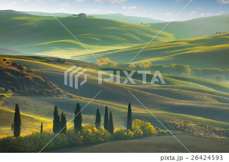 Fresh Green tuscany landscape 26424593