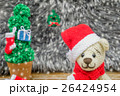 crochet teddy bear in a red Christmas hat. 26424954