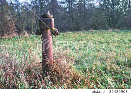 old red rusty  hydrant on meadow in grass 26426903