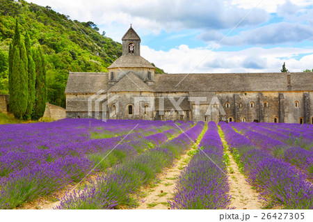 Abbey of Senanque and blooming rows lavender Abbey of Senanque and blooming rows lavender 26427305