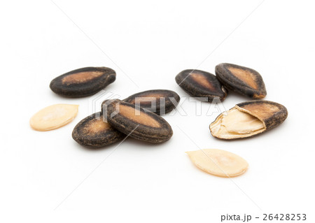 スイカの種: Watermelon seeds 26428253