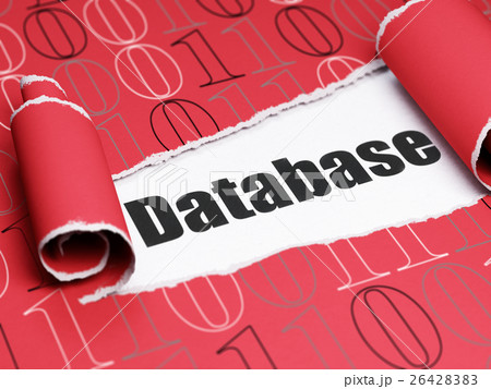 Programming concept: black text Database under the Programming concept: black text Database under the 26428383