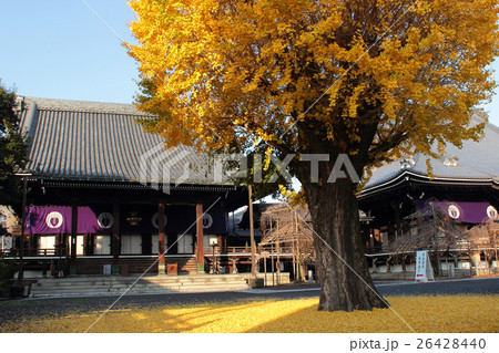 京都 佛光寺 京都 佛光寺 26428440