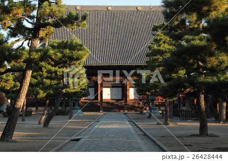 京都 百万遍知恩寺 本堂 京都 百万遍知恩寺 本堂 26428444