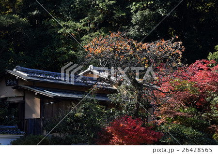 里山の秋 里山の秋 26428565