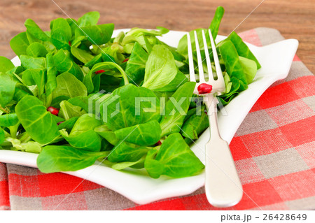 Green Fresh Salad on Plate. 26428649