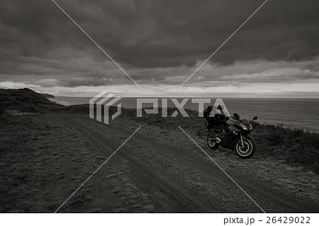 Wild Journey (59) Wild Journey (59) 26429022