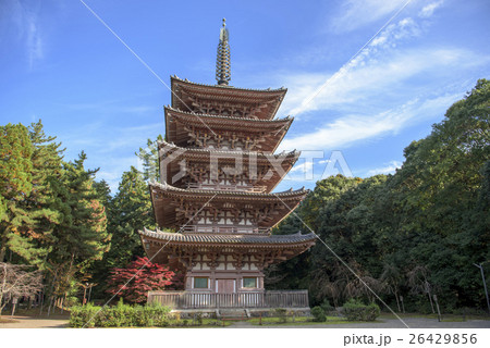 秋の京都・醍醐寺 秋の京都・醍醐寺 26429856