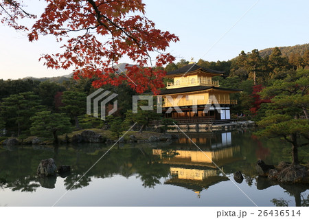 金閣寺の紅葉 金閣寺の紅葉 26436514