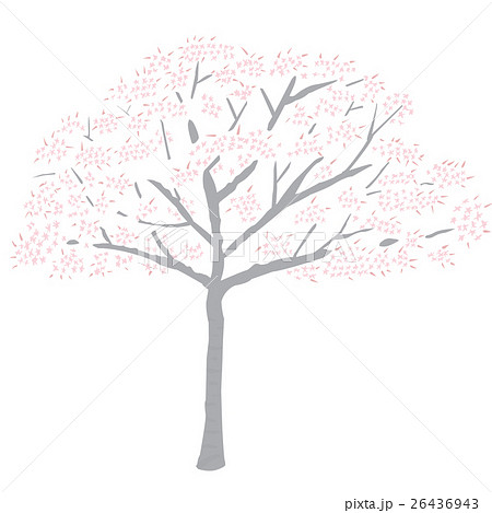 桜の木 イラストのイラスト素材
