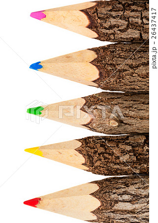 Group of raw, unprocessed wooden pencils Group of raw, unprocessed wooden pencils 26437417