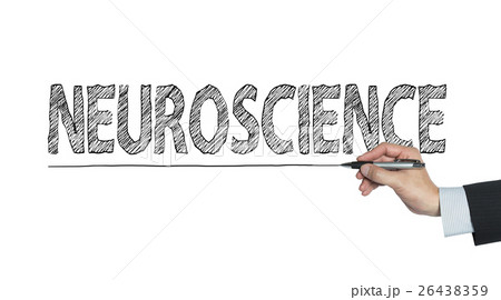 neuroscience written by hand 26438359