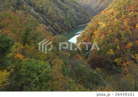 紅葉の天竜川 26439101