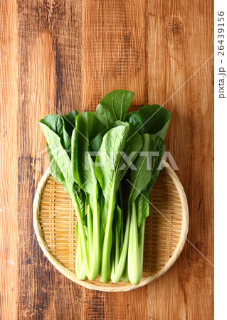 小松菜 26439156