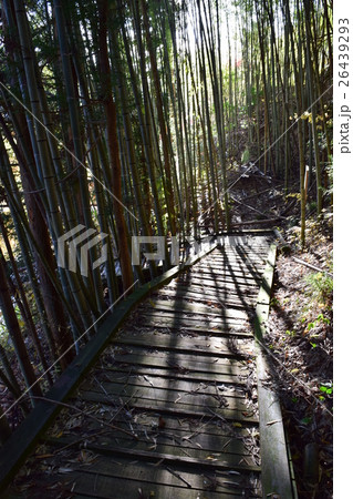 中山道　歴史の道 南木曽 26439293