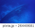 沈船あまみ 26440681