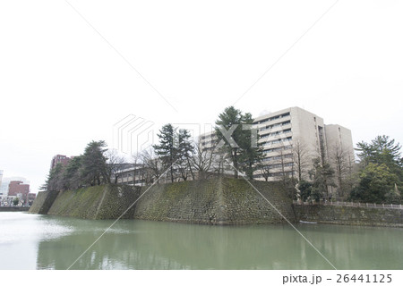 福井城址/福井県庁 福井城址/福井県庁 26441125