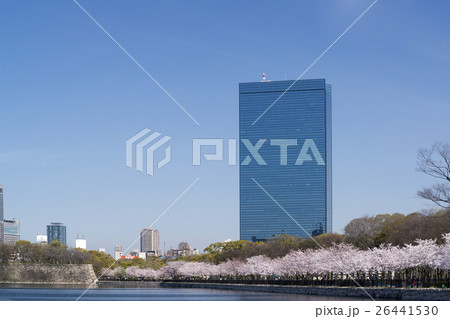 大阪ビジネスパーク　満開の桜 26441530