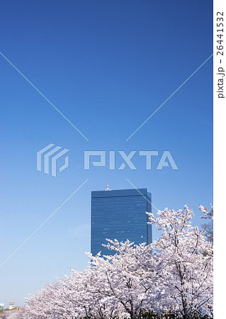 大阪ビジネスパーク　満開の桜 26441532