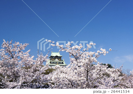 大阪城天守閣 満開の桜 大阪城天守閣 満開の桜 26441534