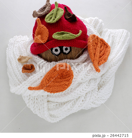 Christmas snowman, white scarf, red hat and leaf Christmas snowman, white scarf, red hat and leaf 26442715