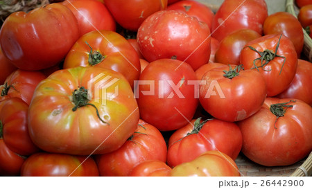 tomato fruit at safety agriculture fair 26442900