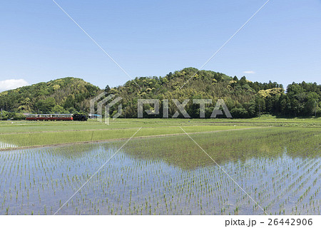 田園風景を走る小湊鐵道トロッコ列車 26442906