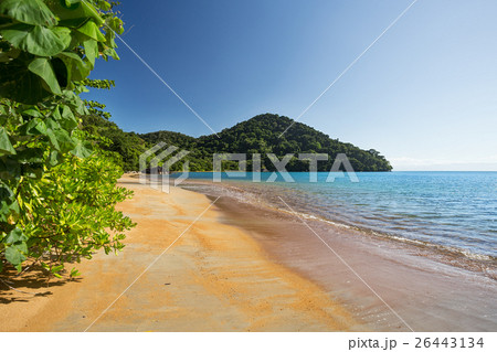 Beautiful dream paradise beach, Madagascar 26443134