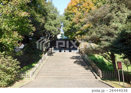 湯島聖堂(杏壇門と大成殿) 湯島聖堂(杏壇門と大成殿) 26444036