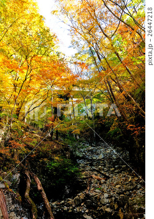 栃木県日光市 秋の龍王峡 紅葉 栃木県日光市 秋の龍王峡 紅葉 26447218