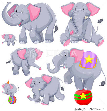 Gray Elephant In Different Actionsのイラスト素材