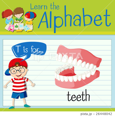 Flashcard letter T is for teeth 26448042