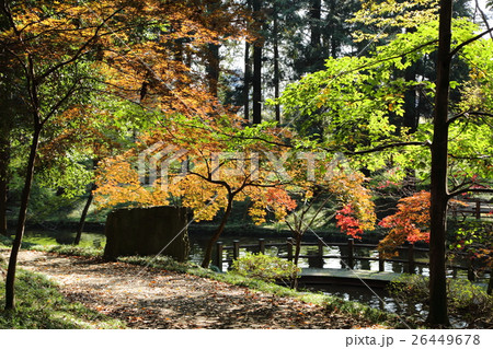 間々田神社の秋 間々田神社の秋 26449678