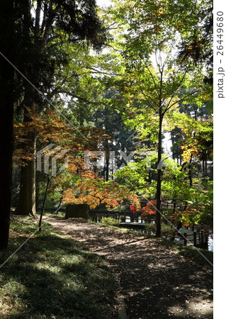 間々田神社の秋 間々田神社の秋 26449680