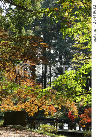 間々田神社の秋 間々田神社の秋 26449682