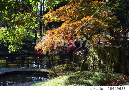 間々田神社の秋 26449683