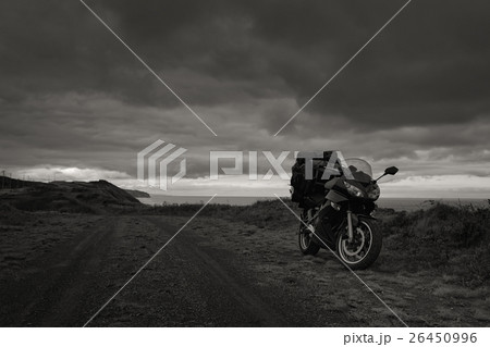 Wild Journey (64) 26450996