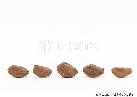 ブラジルナッツ: Brazil nut 26455098