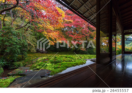 京都の紅葉 26455557