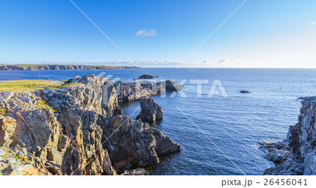 Cape Bona Vista coastline in Newfoundland, Canada. 26456041