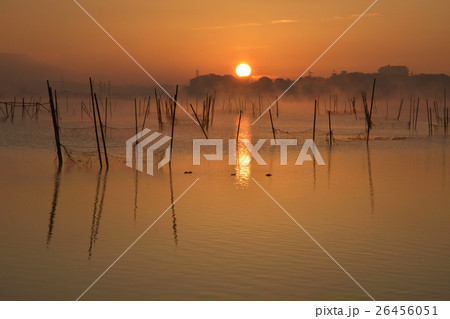 印旛沼の朝 印旛沼の朝 26456051