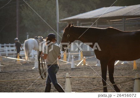 夕暮れの牧場 夕暮れの牧場 26456072