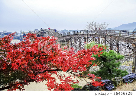 紅葉と錦帯橋5 紅葉と錦帯橋5 26456329
