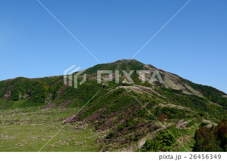 つつじと烏帽子岳 つつじと烏帽子岳 26456349