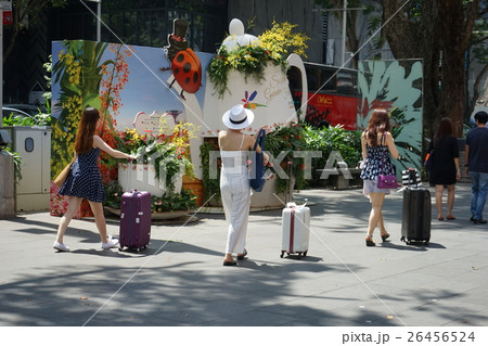 オーチャード 26456524