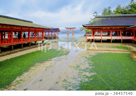 厳島神社桝形 厳島神社桝形 26457540