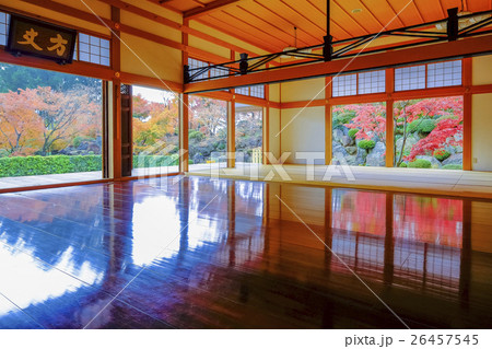 床もみじ（広角） 26457545