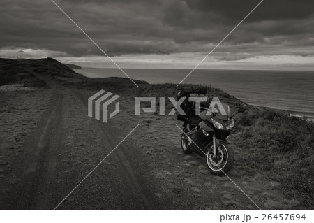 Wild Journey (66) Wild Journey (66) 26457694